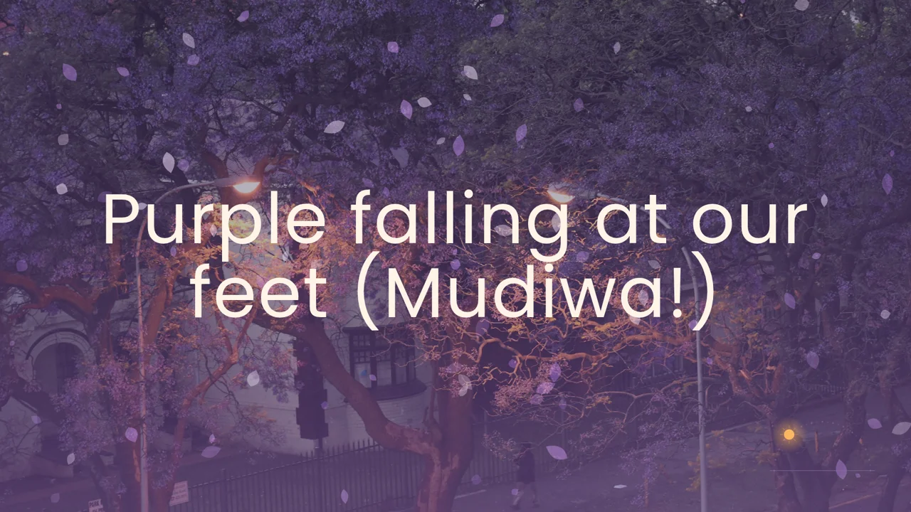 Lyric video frame: soft white lyrics over jacaranda trees in bloom with petals drifting down